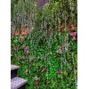 دیوار سبز مصنوعی برای کافه